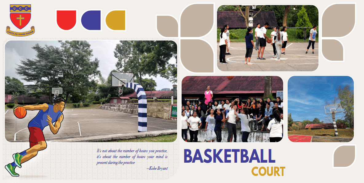 basketball_court img